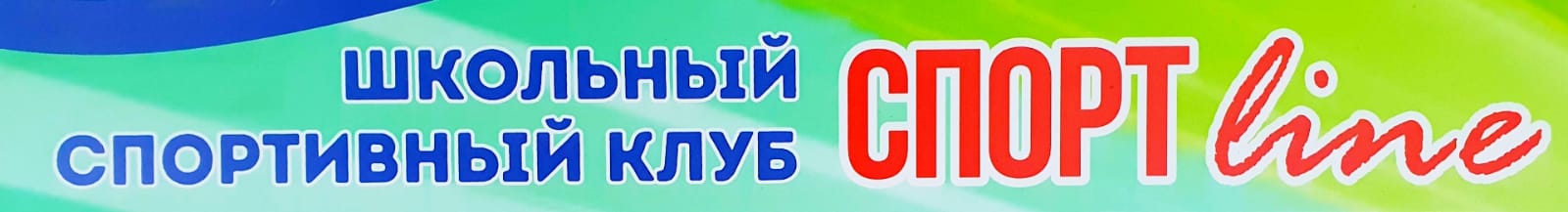 Спорт и физкультура в школе.
