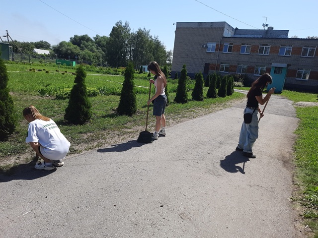 Фотографии летнего лагеря.